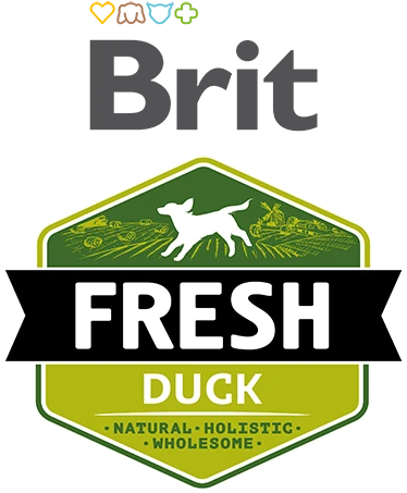 Brit
